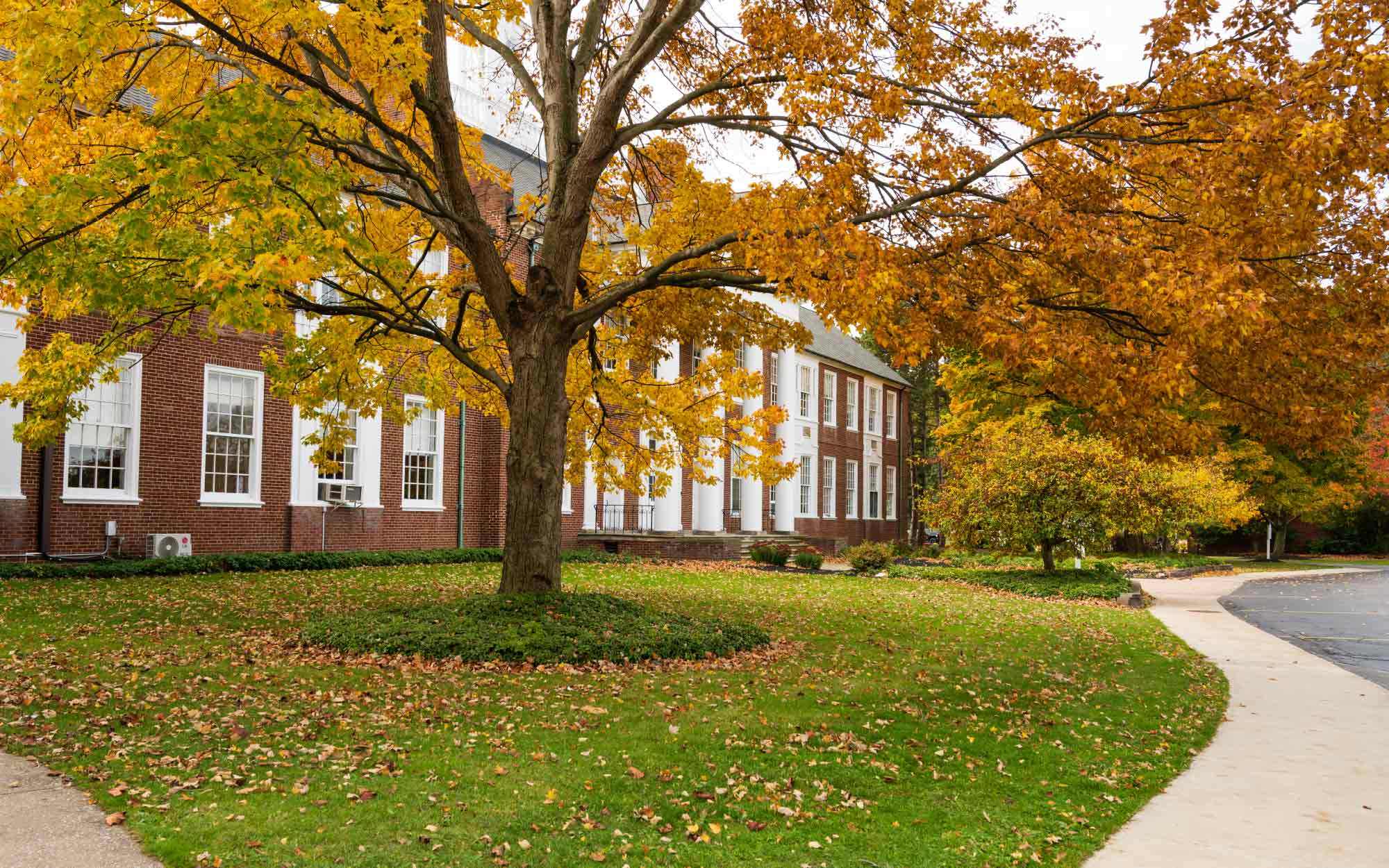 Andrews Osborne Academy